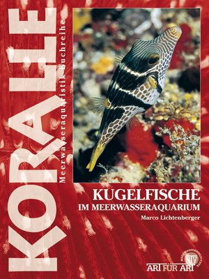 cover image of Kugelfische im Meerwasseraquarium